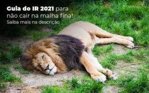 Guia Ir 2021 Para Nao Cair Na Malha Fina Saiba Mais Na Descricao Post 1 - WebGroup